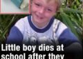Asthma can be fatal: Remembering Ryan Gibbons