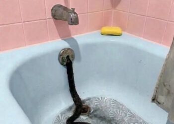 I Found Something Unusual Hanging From My Bathtub Drain—Here’s What It Turned Out to Be