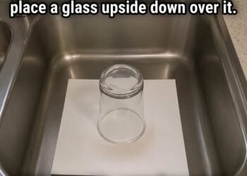 The Real Deal on Covering Your Sink Before Vacation