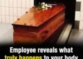Employee reveals what happens to your body during cremation