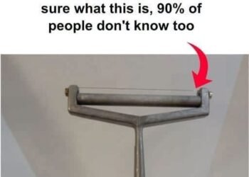 I don’t know what this is!