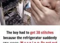 The boy had to get 38 stitches because the refrigerator suddenly ᴇxᴘʟᴏᴅᴇᴅ: W.a.r.n.i.n.g: Do not put these things in the freezer