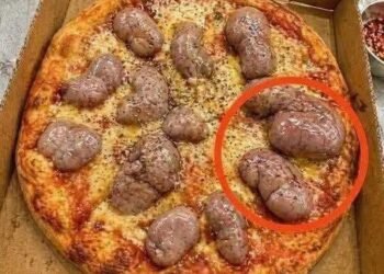 I ordered a pizza in the evening. The deliver