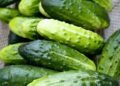 Doctors reveal that eating cucumber in salads causes…