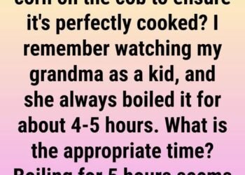 How Long to Boil Corn on the Cob So It’s Perfectly Cooked
