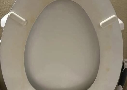 That Gross Yellow Ring? Here’s How I Actually Got Rid of Toilet Stains