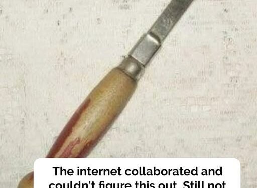 Vintage kitchen tool baffles online users