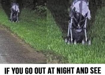 If you find an abandoned stroller at the roadside, here’s why you might want to wait before getting out of your vehicle