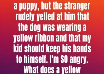 This Is What a Yellow Ribbon on a Dog Collar Means