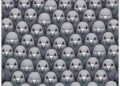 Count the Pigeons First and See What You Notice
