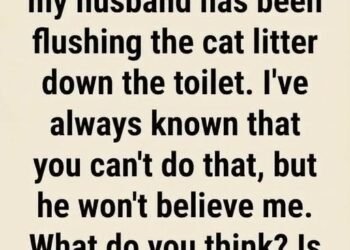 6 Things You Should Never Flush Down the Toilet