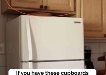 Here’s what the cupboards above your fridge are for