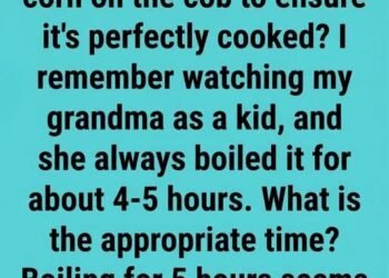 How Long Should You Boil Corn on the Cob? A Simple Guide for Perfect Summer Corn