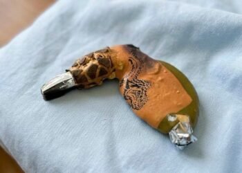 Found in the oven after cooking Thanksgiving dinner…