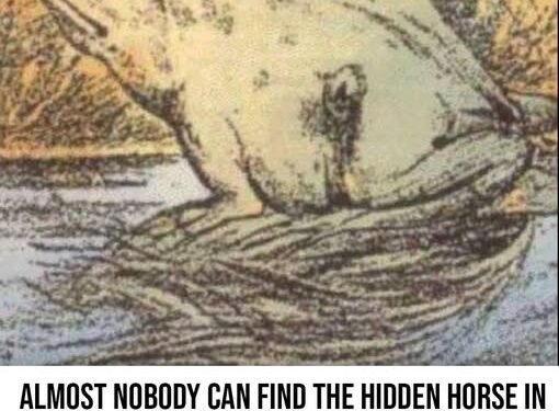 Only certain people can see the horse in this picture – are you one of the special few?