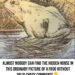 Only certain people can see the horse in this picture – are you one of the special few?