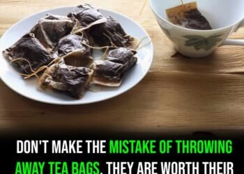 Teabags: 7 household remedies that show why you should never throw away a used teabag again