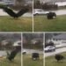 Giant Eagle captured in Bro!