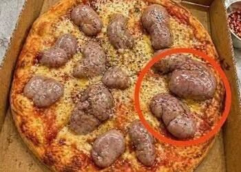 I Ordered a Late-Night Pizza and Found Something Terrifying Hidden Under the Melted Cheese That Made My Heart Stop!
