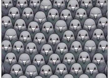 Count the Pigeons First and See What You Notice