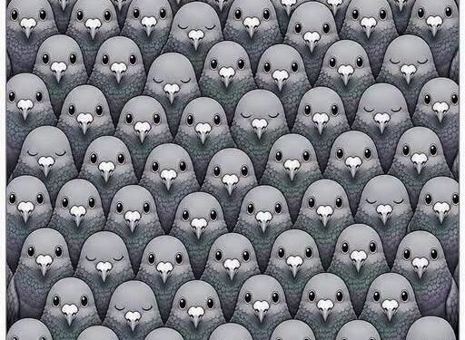 Count the Pigeons First and See What You Notice