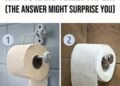 Which Way Is the Correct Way to Hang Toilet Paper? (The Answer Might Surprise You)