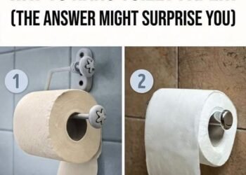 Which Way Is the Correct Way to Hang Toilet Paper? (The Answer Might Surprise You)