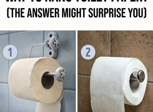 Which Way Is the Correct Way to Hang Toilet Paper? (The Answer Might Surprise You)