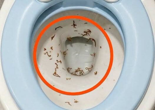 I went into the bathroom to take a shower.