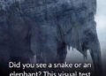 THE FIRST ANIMAL YOU SEE COULD REVEAL A SHOCKING TRUTH ABOUT HOW YOU THINK