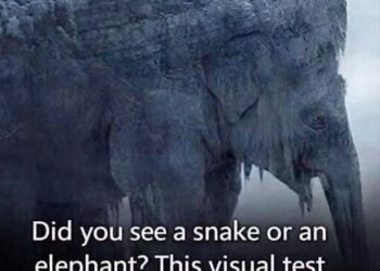 THE FIRST ANIMAL YOU SEE COULD REVEAL A SHOCKING TRUTH ABOUT HOW YOU THINK
