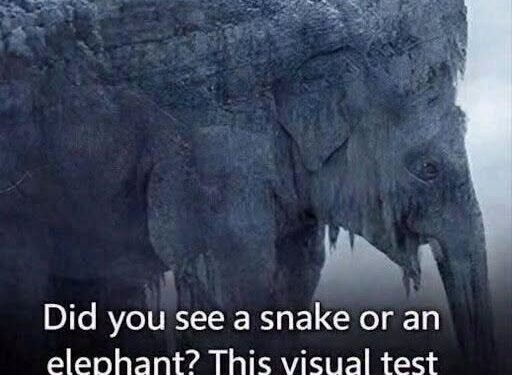 THE FIRST ANIMAL YOU SEE COULD REVEAL A SHOCKING TRUTH ABOUT HOW YOU THINK
