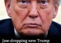 New Trump approval ratings shows what the Us really thinks of him