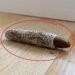 I Found a Strange Little Object on My Floor—Then I Discovered What It Really Was
