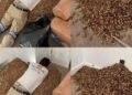 A man smells a strong smell in his house, when he finds out that he opens the wall he finds…