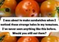 What It Means If You See These Holes in Tomatoes