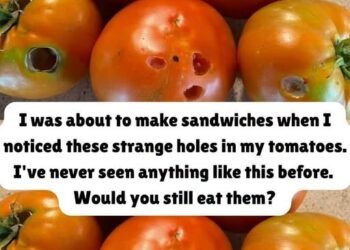 What It Means If You See These Holes in Tomatoes