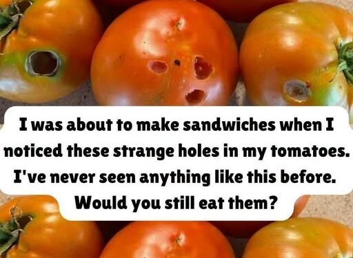 What It Means If You See These Holes in Tomatoes