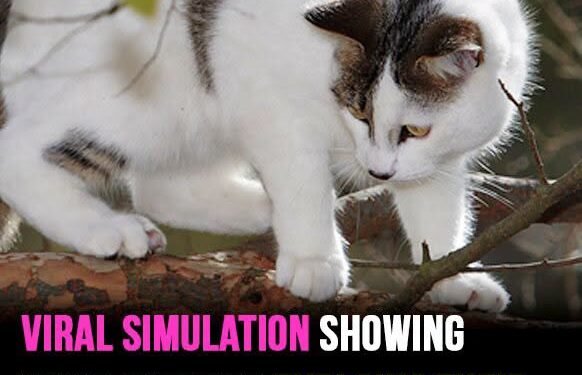 Viral simulation showing what cats see explains their incredible speed