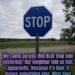 The Meaning Behind a Blue Stop Sign