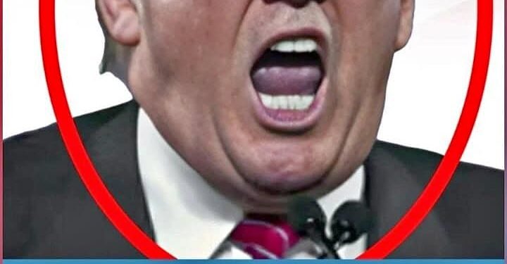 Dermatologist reveals what could be the mystery marks on Trump’s hand