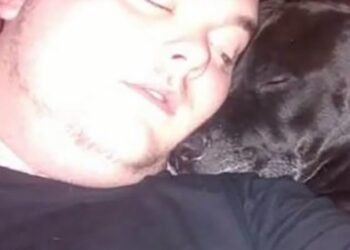 Geo the dog sensed something was wrong and saved a life