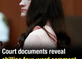Court documents reveal chilling four-word comment Lindsay Clancy made while killing her children