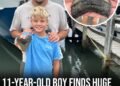 11-year-old boy finds huge tooth of Megalodon extinct for millions of years