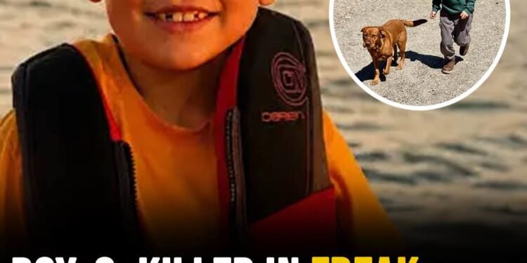 Boy, 8, killed in freak accident at summer camp: “Never forgotten to those who loved him”