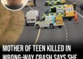Mother of teen killed in wrong-way crash says she begged judge to jail him weeks before his death