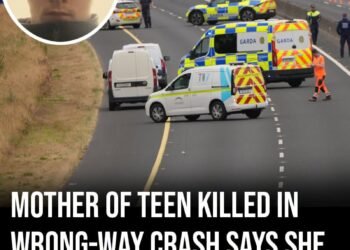 Mother of teen killed in wrong-way crash says she begged judge to jail him weeks before his death