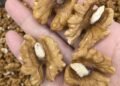 WALNUTS: THE SMALL SNACK WITH BIG HEALTH POWER
