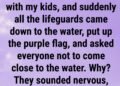 DANGER IN THE WATER WHY THAT PURPLE FLAG AT THE BEACH COULD SAVE YOUR LIFE
