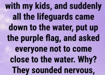 DANGER IN THE WATER WHY THAT PURPLE FLAG AT THE BEACH COULD SAVE YOUR LIFE